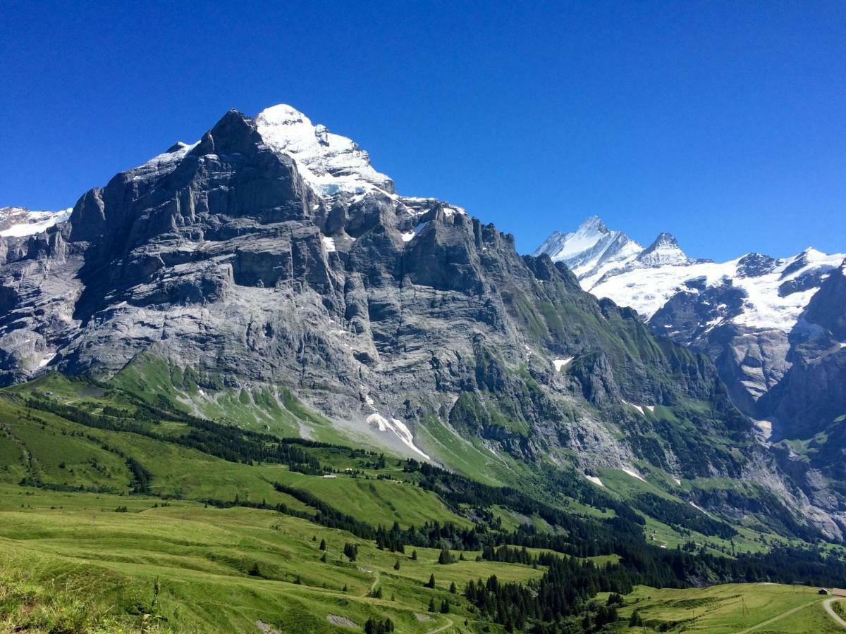 Wetterhorn, Eiger, Jungfrau, Amazing! Apartment Grindelwald Luaran gambar