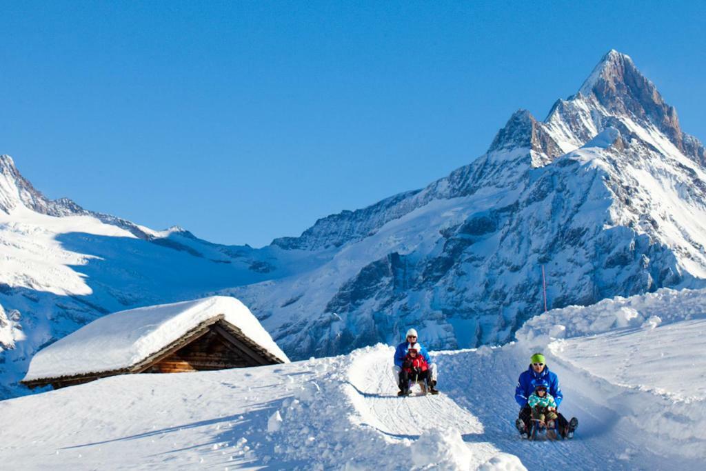 Wetterhorn, Eiger, Jungfrau, Amazing! Apartment Grindelwald Luaran gambar
